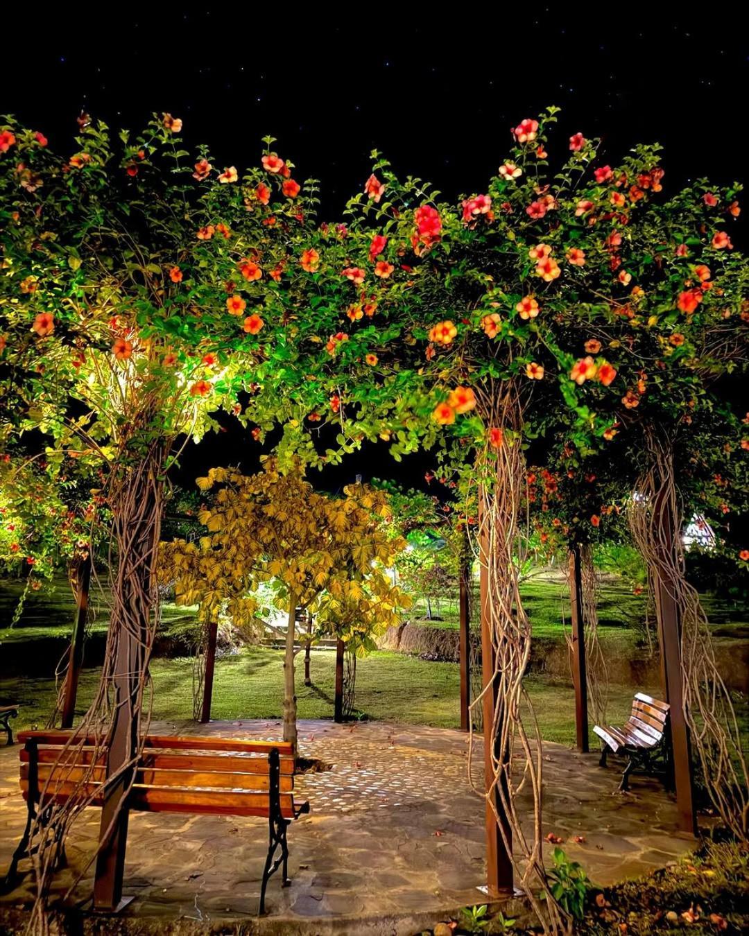 El Resort De Yanashpa - טראפוטו מראה חיצוני תמונה